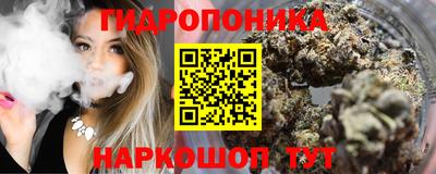 амф Можга