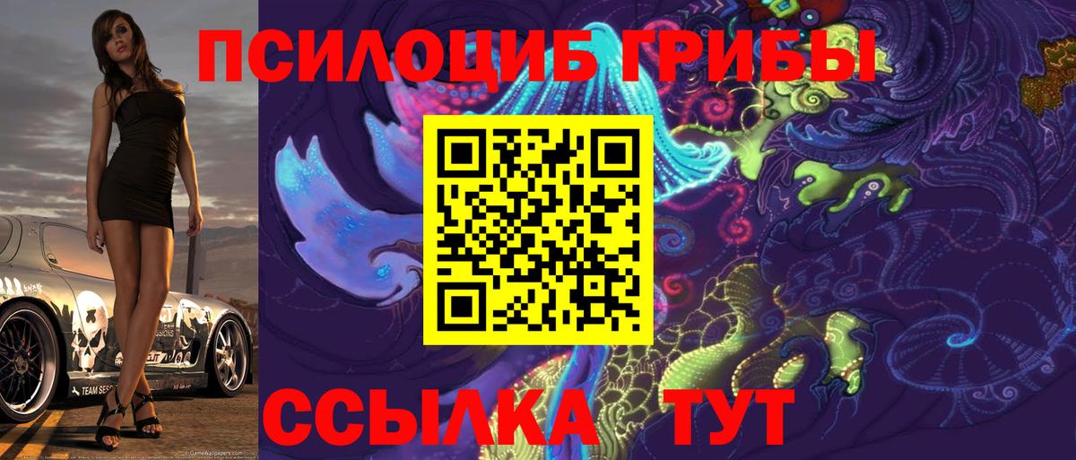 Псилоцибиновые грибы прущие грибы  Вход с VPN  Псилоцибиновые грибы ЛСД  наркотики  Сергиев Посад 